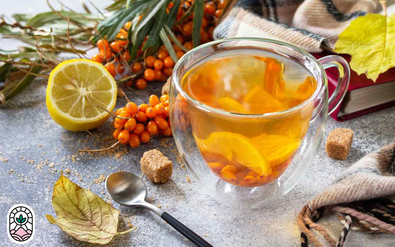 دمنوشهای پاییزی